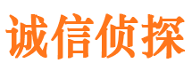 东宝出轨调查